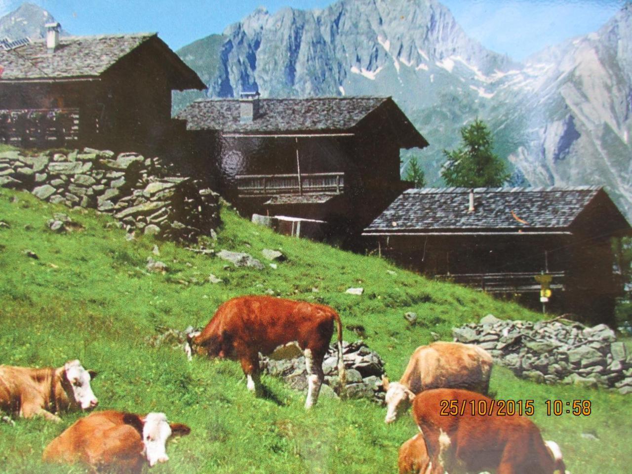 Apartamento Lampeterhof Matrei in Osttirol Exterior foto